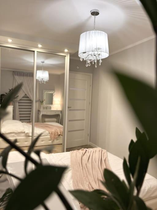 Apartament Zamojski Mlynska Zamość 외부 사진